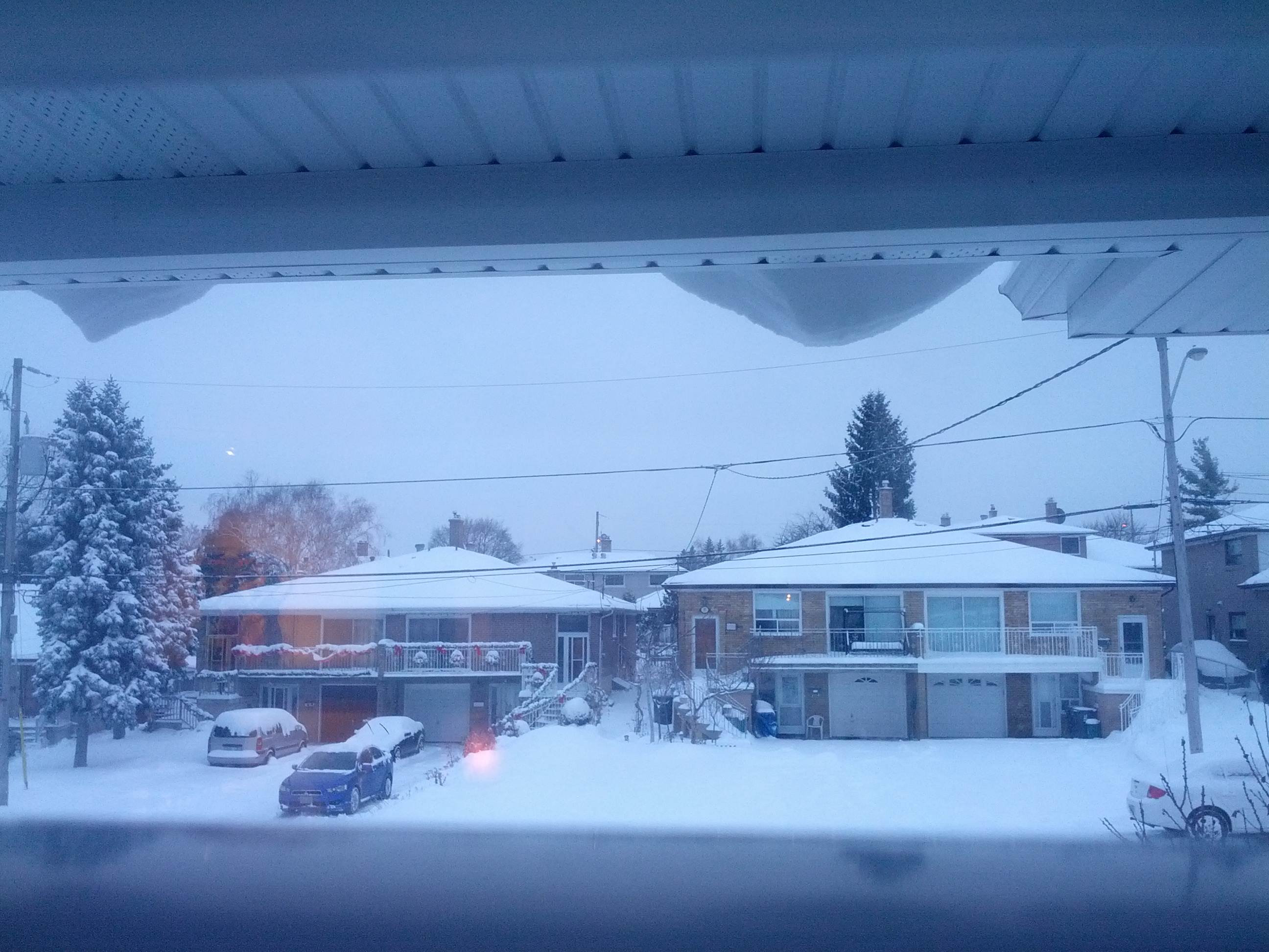 Look at how miserable it is out there
